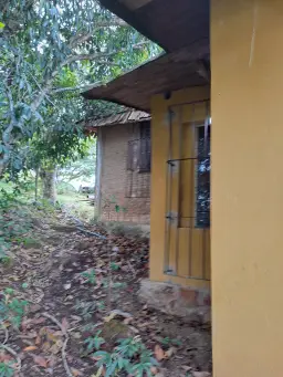 View 2