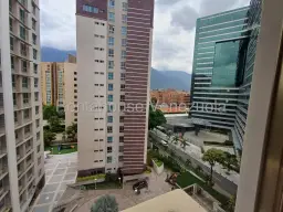 Vista 19