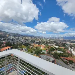 Vista 6