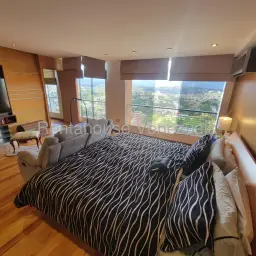 Vista 13