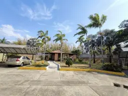 Vista 1