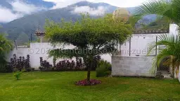 Vista 14