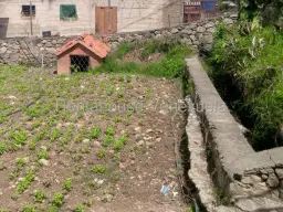 View 24