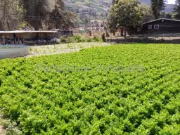 View 27