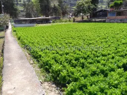 View 29