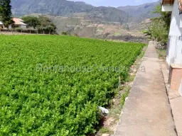View 30