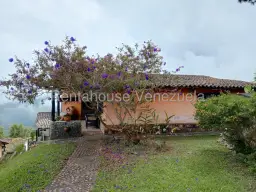 Vista 2