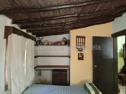 Vista 19