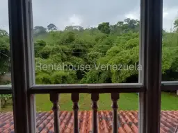 Vista 12