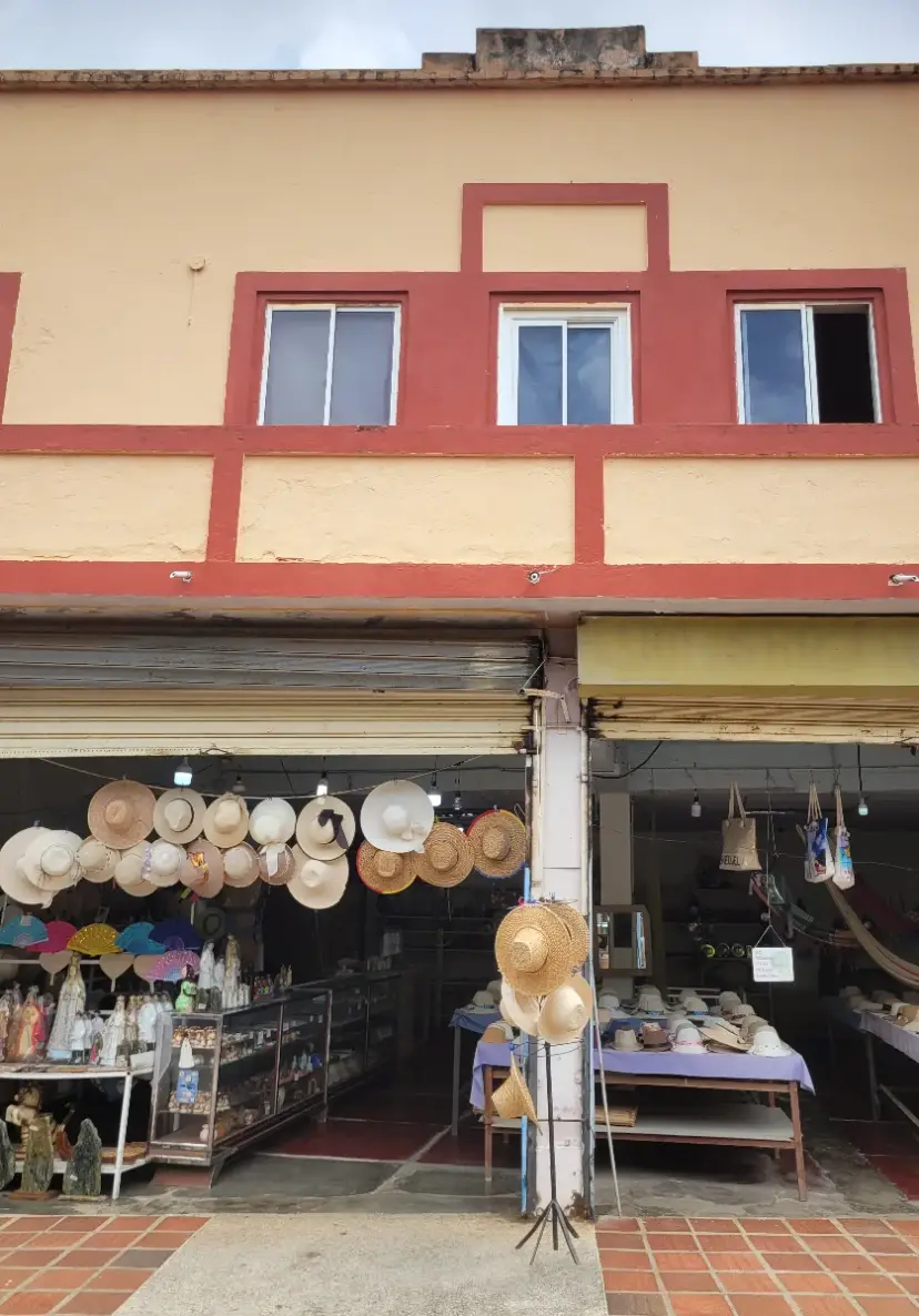 TERRENO LOCAL Y APARTAMENTO 