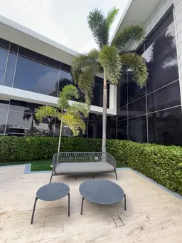 Vista 4