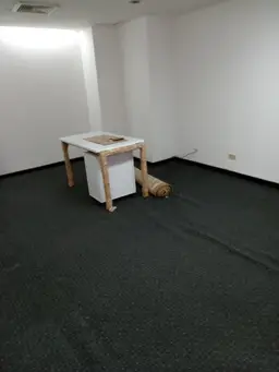 Vista 14