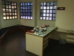 Vista 5
