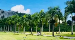 Vista 3