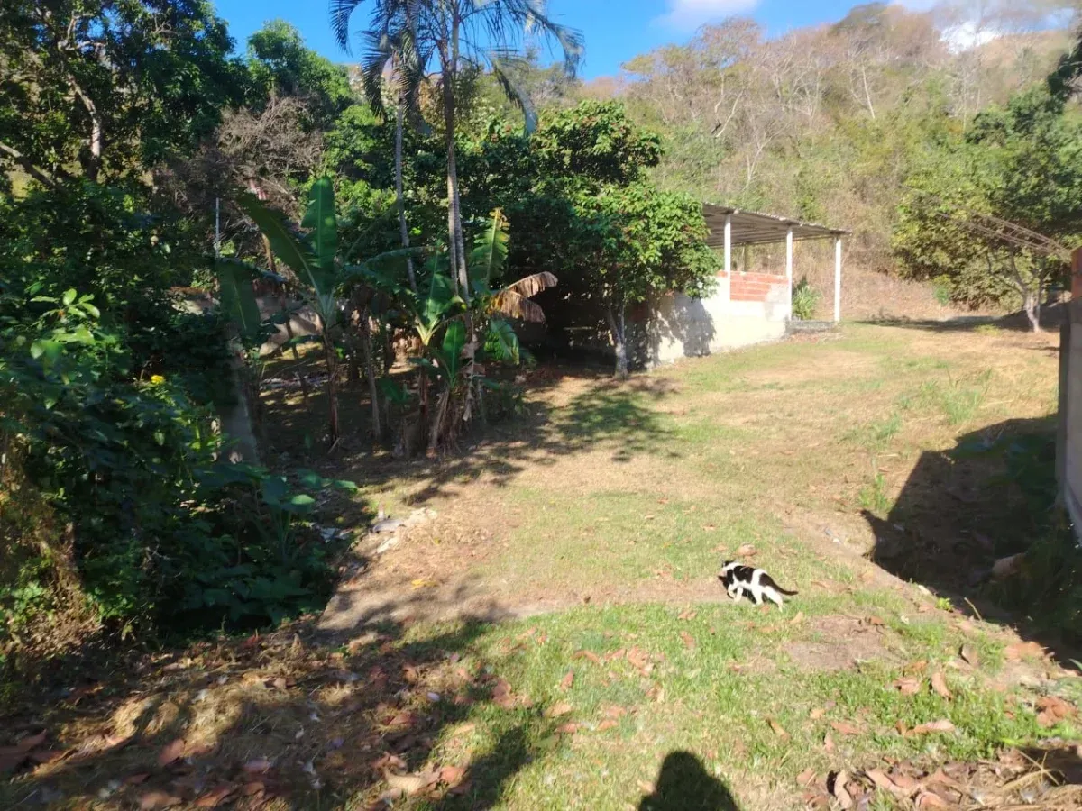 Se vende Terreno en la Cumaca San Diego - 6