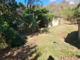 View 6
