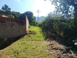 View 12