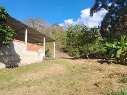View 14