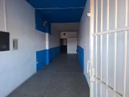 Vista 5