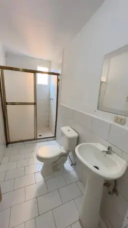 Vista 12