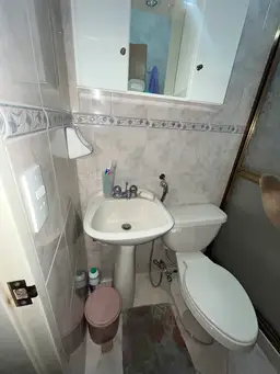 Vista 15