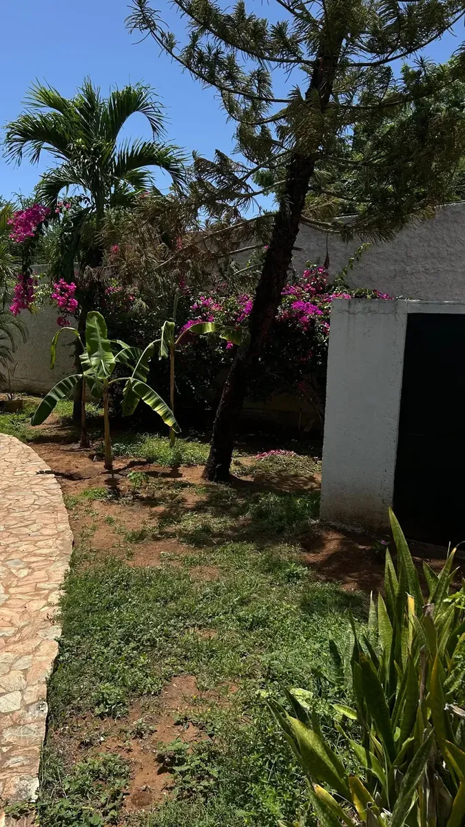 Casa En Venta, Antolin Del Campo, Ideal Para Inversión O Para Hacer Vida - 13
