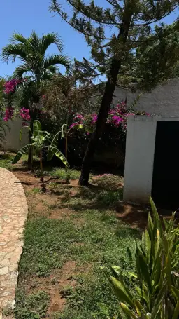 View 13