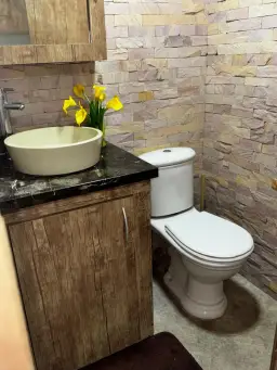 Vista 6