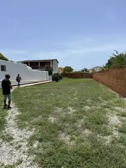 Vista 5