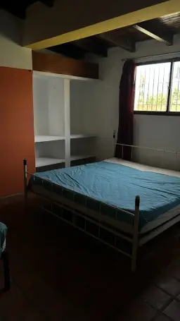 Vista 15
