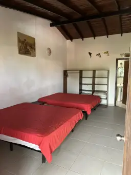 Vista 20
