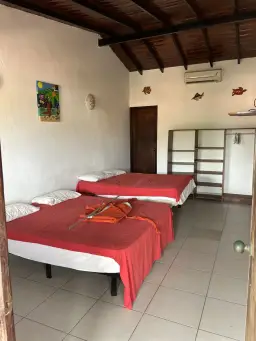 Vista 21