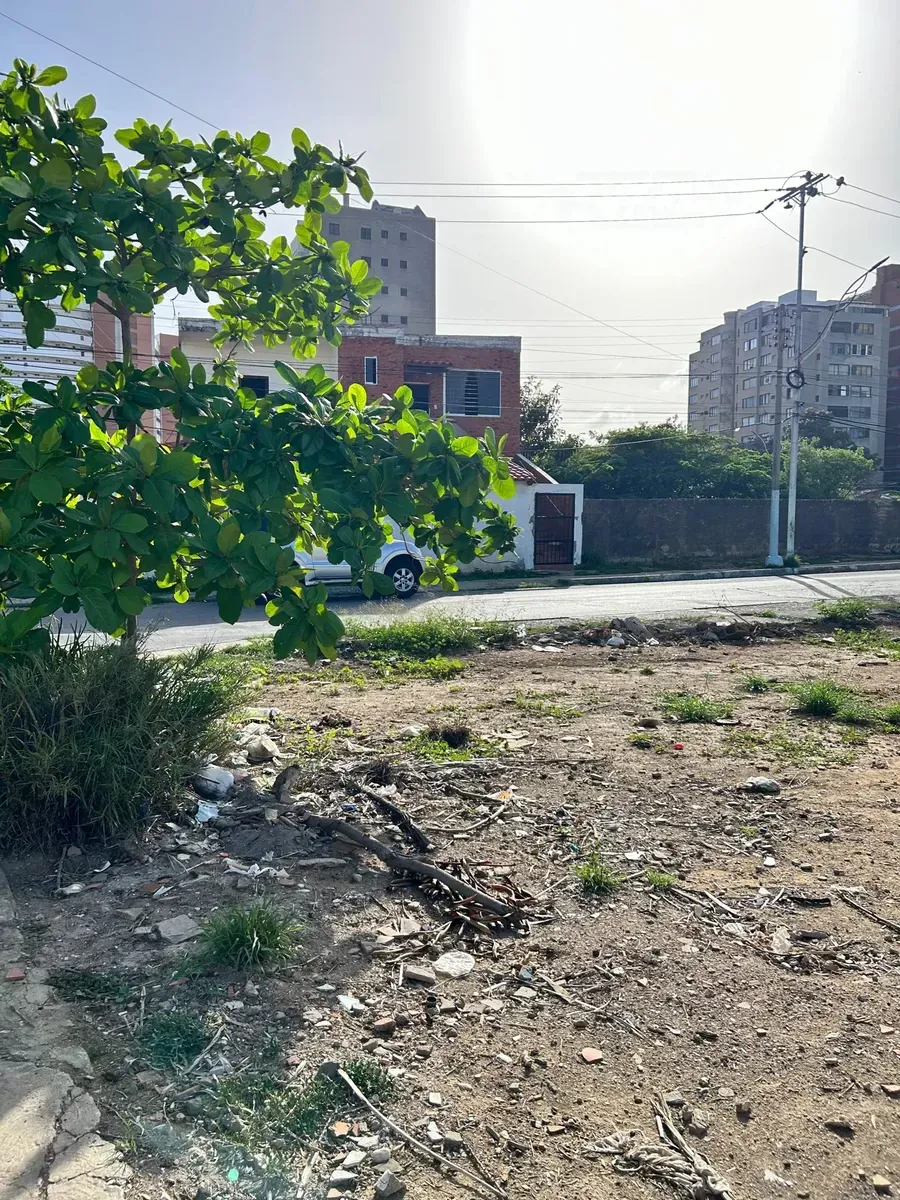 Terreno Con Excelente Ubicación,paralelo A La Av Bolívar - 2