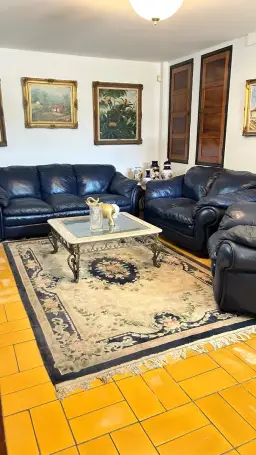 Vista 4