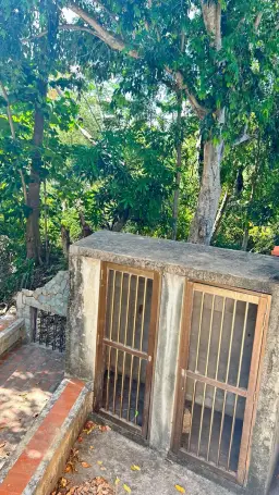 View 5