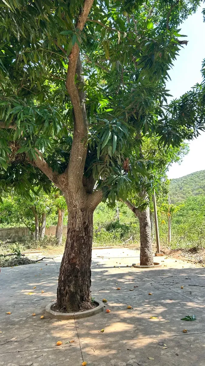 Exclusivo Edificio Residencial De Baja Densidad - 7