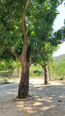 View 7