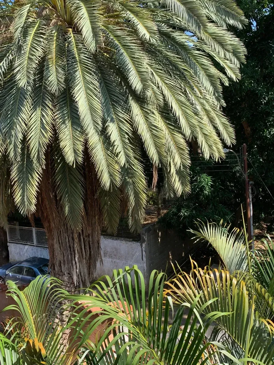 Exclusivo Edificio Residencial De Baja Densidad - 10