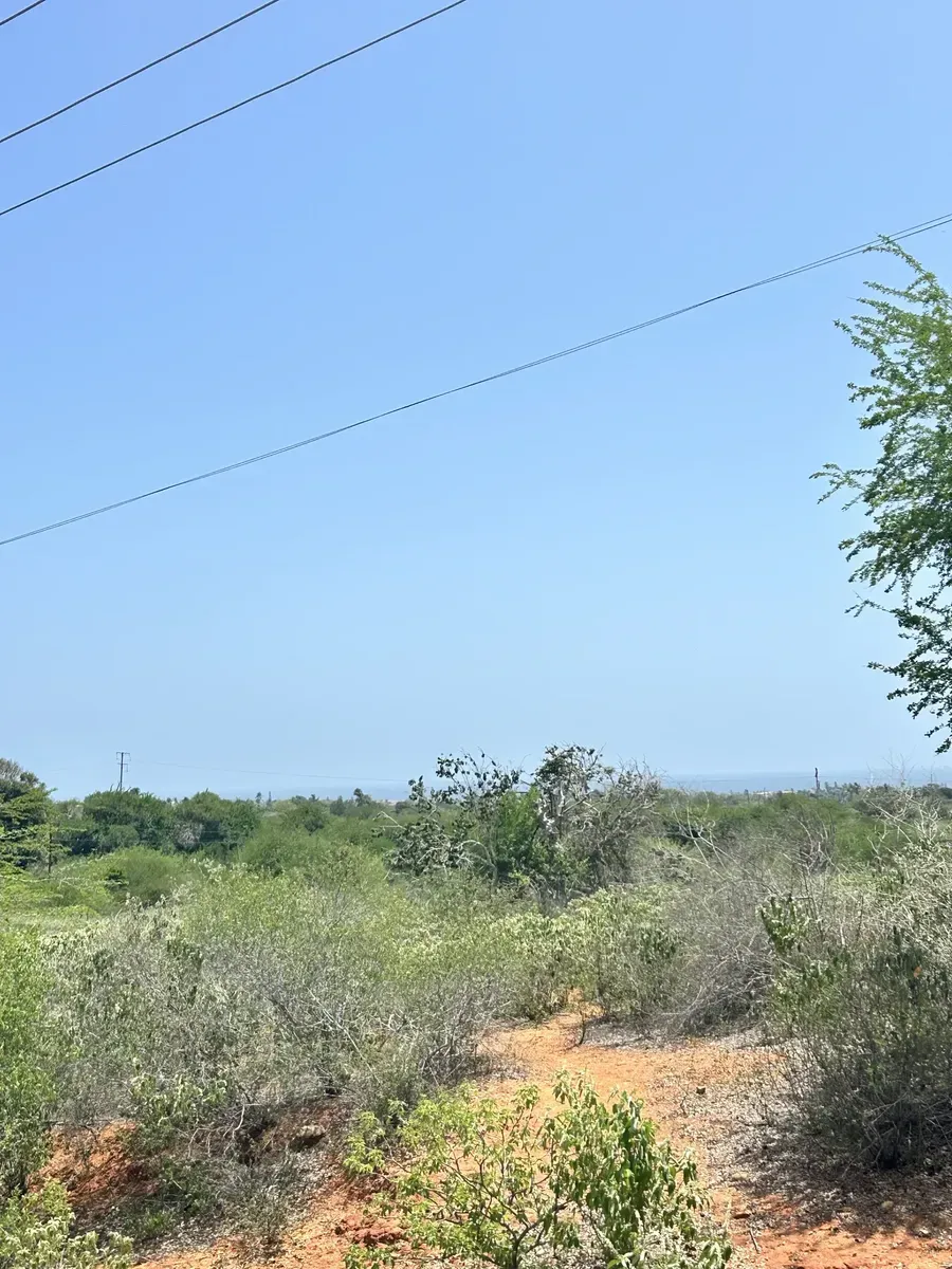 Lote De Terreno Agrícola De 5.000 Mts - 2