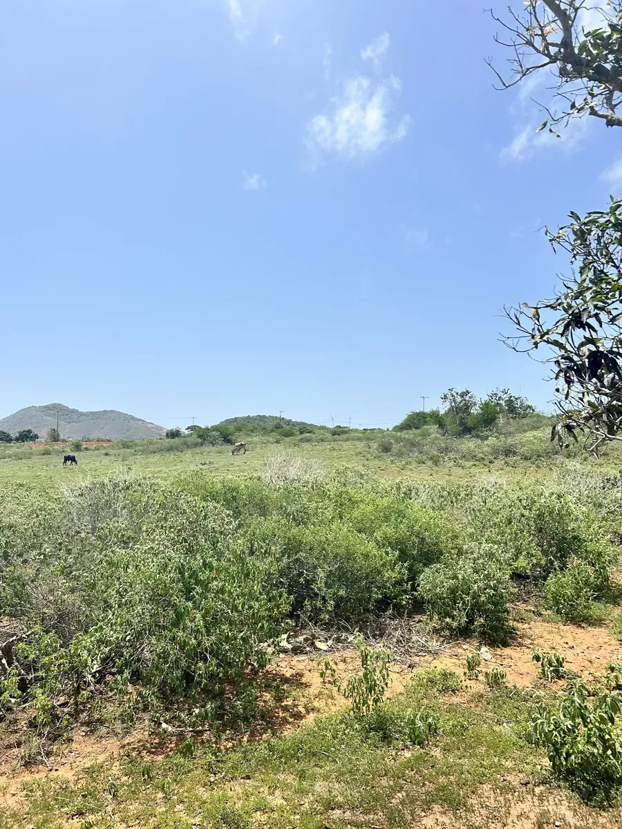 Lote De Terreno Agrícola De 5.000 Mts - 3