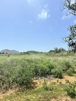 Vista 3