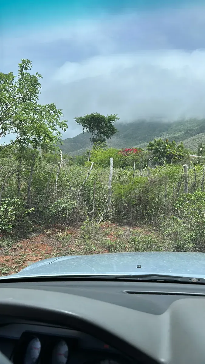 Lote De Terreno Agrícola De 5.000 Mts - 4
