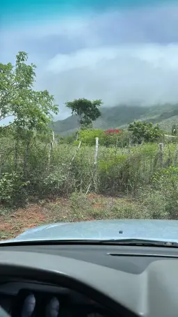 Vista 4