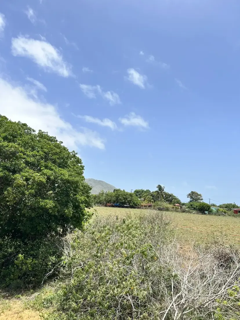 Caamaño Inmuebles,vende Terreno Agrícola, sector Antolín del Campo, Nueva Esparta .