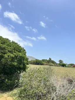 Vista 2