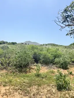 Vista 5