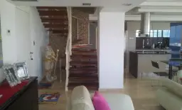 Vista 19