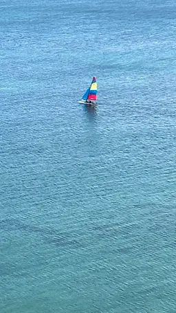 Vista 2