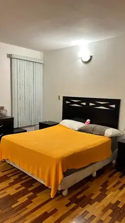 Vista 16