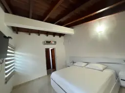 Vista 15